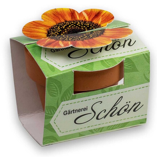 Tontöpfchen-Blume mit Samen - Margerite inkl. Tampondruck