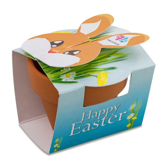 Tontöpfchen-Hase mit Samen - Eierbaumsamen inkl. Tampondruck