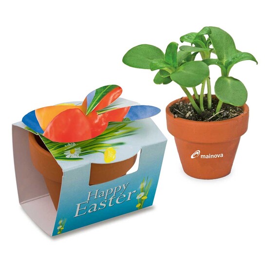 Tontöpfchen-Hase mit Samen - Gewürzpaprika inkl. Tampondruck