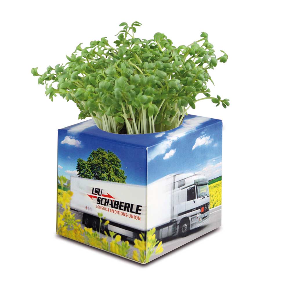 Pflanz-Würfel 2.0 mit Samen - Ringelblume