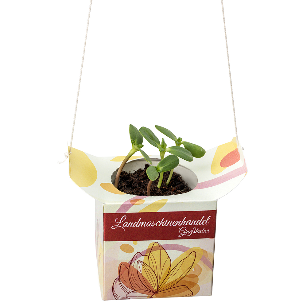 Blumenampel