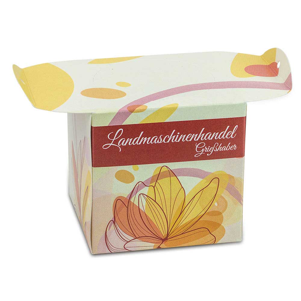 Blumenampel - Basilikum