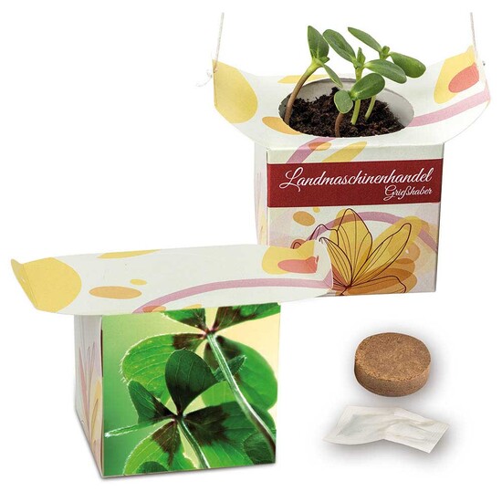 Blumenampel - Glücksklee-Zwiebeln (* Je nach Verfügbarkeit der Glücksklee-Zwiebeln)