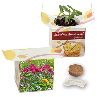 Blumenampel - Sommerblumenmischung