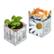 Colour & Grow House - Ostern