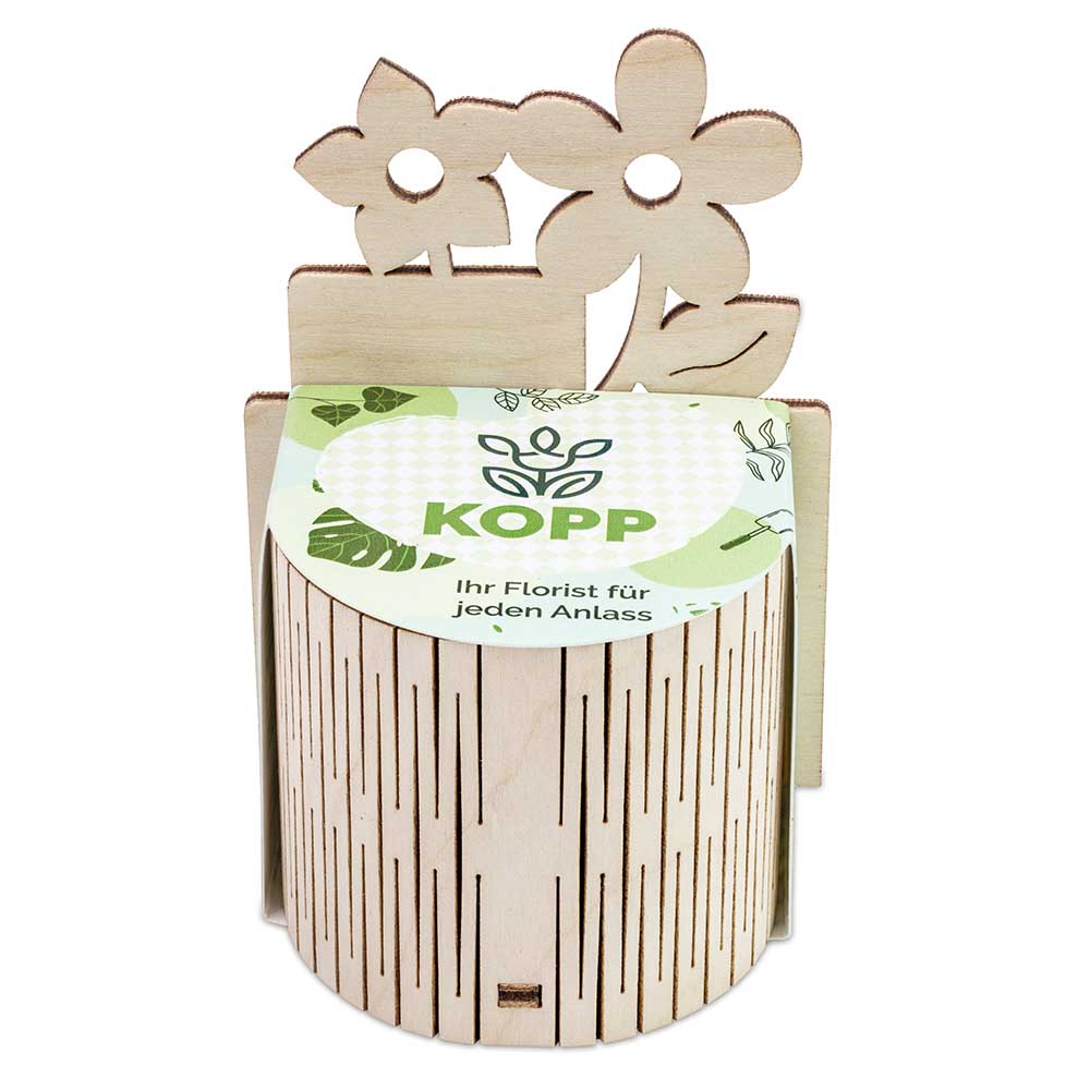 My Tiny Garden Blümchen - Persischer Klee