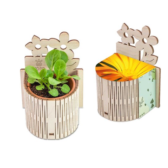 My Tiny Garden Blümchen - Ringelblume