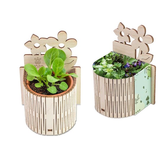 My Tiny Garden Blümchen - Kräutermischung, inkl. Lasergravur