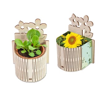 My Tiny Garden Blümchen - Sonnenblume, inkl. Lasergravur