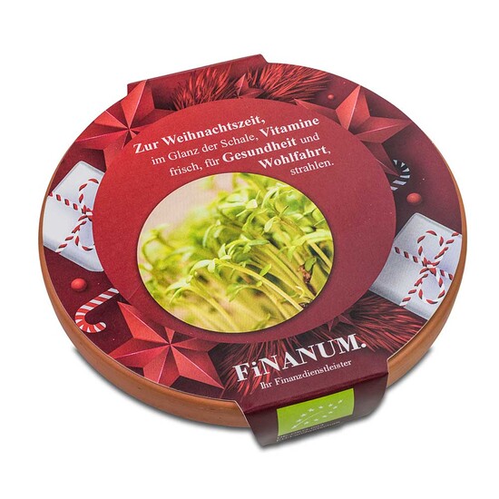 Vitamin-Schale - Rettich China Rose