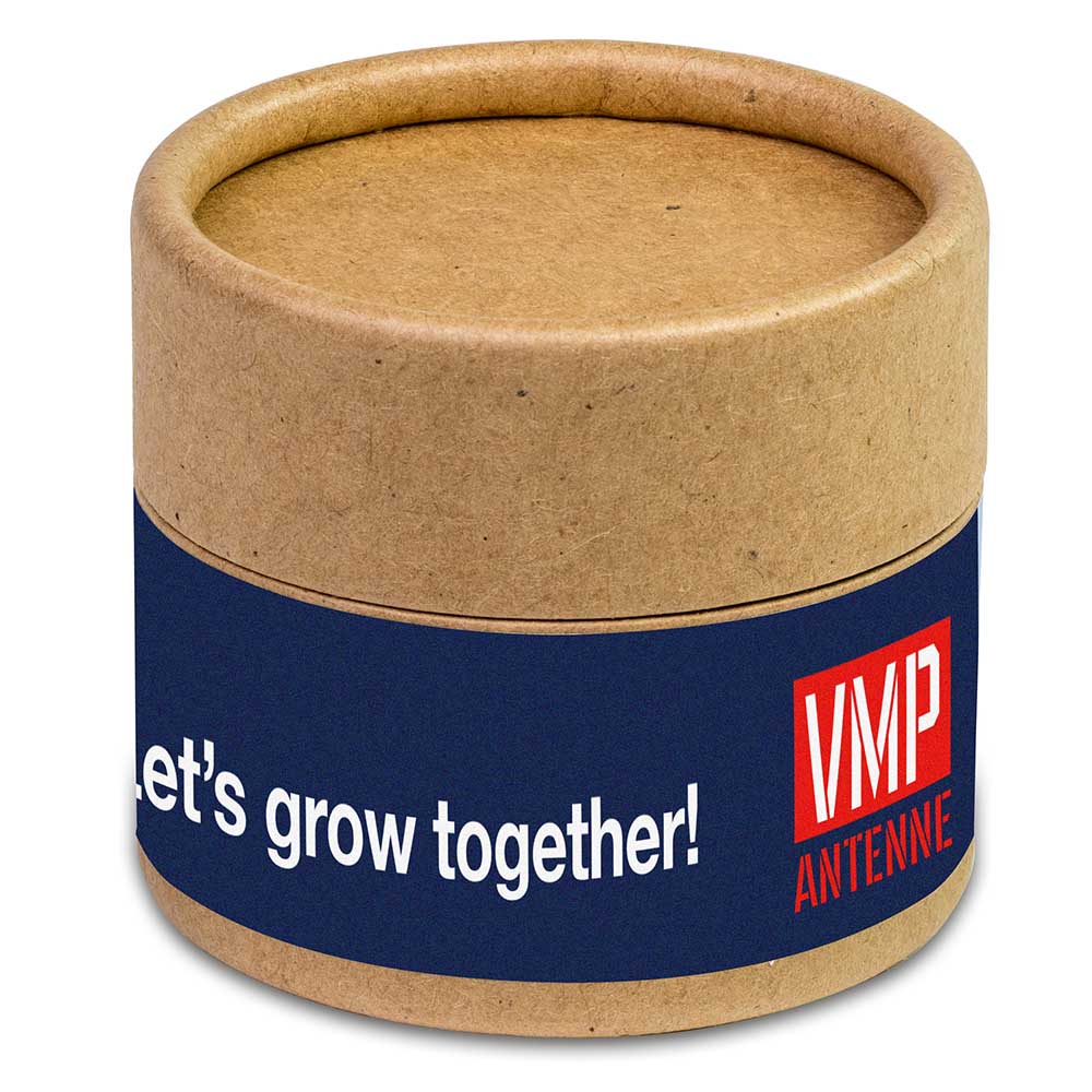Pflanz-Cup mit Samen - Margerite