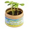 Pflanz-Cup mit Samen - Ringelblume