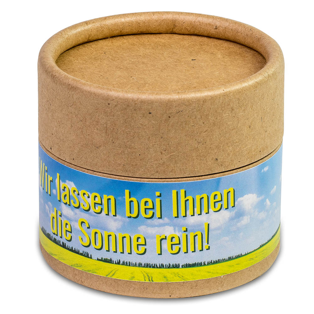 Pflanz-Cup mit Samen - Sommerblumenmischung