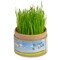Pflanz-Cup mit Samen - Thymian