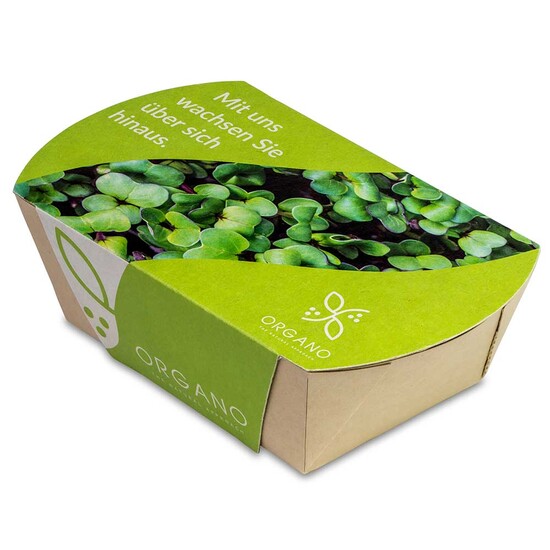 Microgreens-Gärtchen - Radies Sango