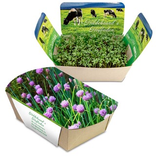 Pflanzodrom mit Samen - Schnittlauch