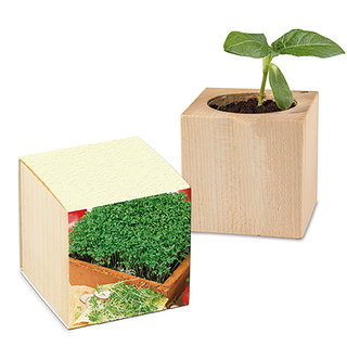 Pflanz-Holz mit Samen (Graspapier-Banderole) - Gartenkresse