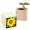 Pflanz-Holz mit Samen (Graspapier-Banderole) - Sonnenblume, 1 Seite gelasert