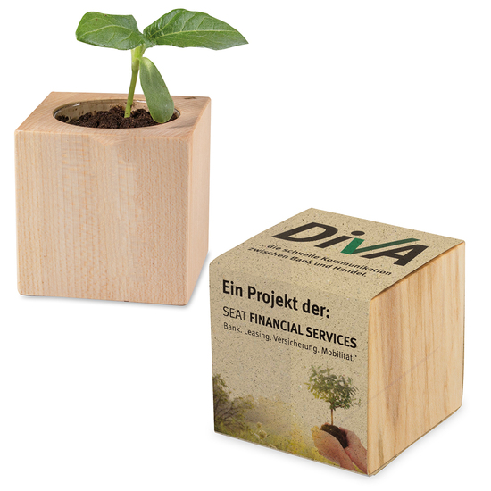 Pflanz-Holz mit Samen (Graspapier-Banderole)