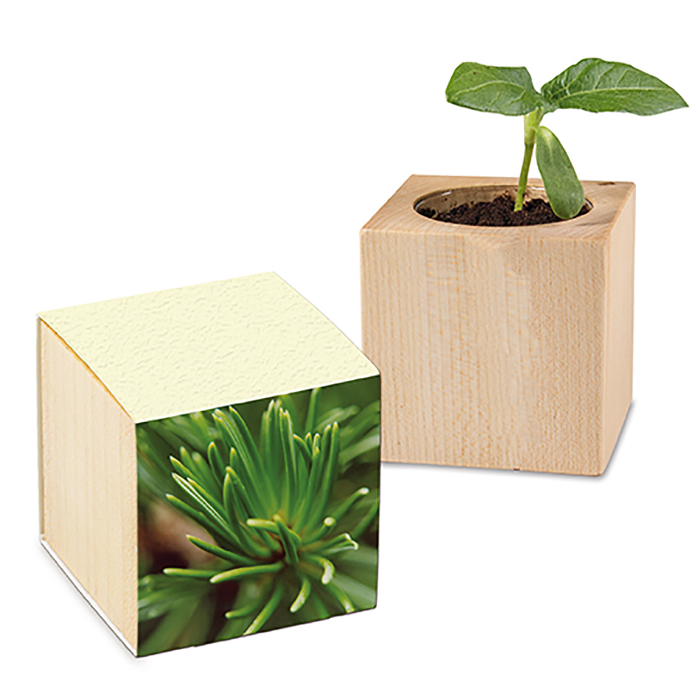Pflanz-Holz mit Samen (Graspapier-Banderole)
