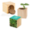 Pflanz-Holz Maxi mit Samen