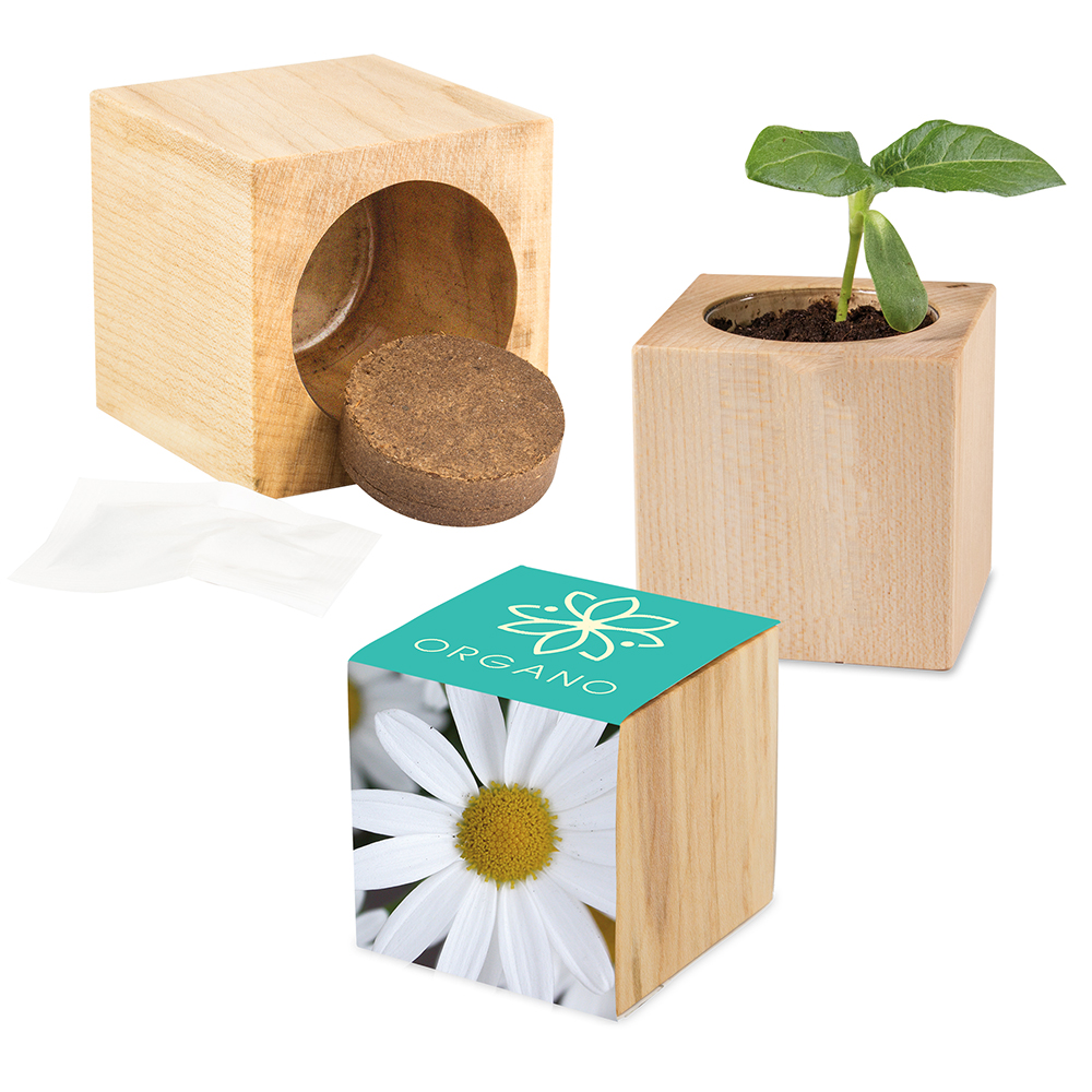 Pflanz-Holz Maxi mit Samen