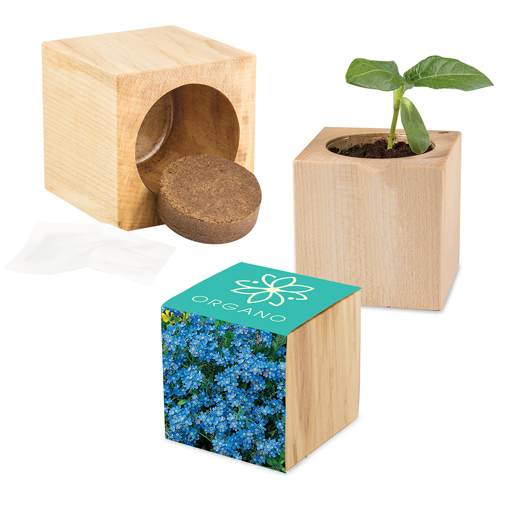 Pflanz-Holz Maxi mit Samen