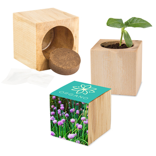 Pflanz-Holz Maxi mit Samen - Schnittlauch