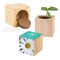 Pflanz-Holz Maxi mit Samen - Margerite, 1 Seite gelasert