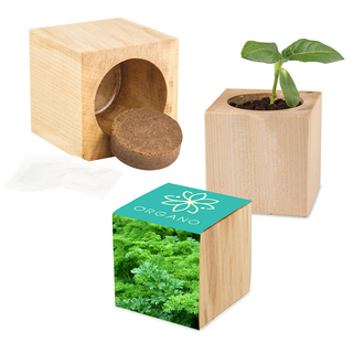 Pflanz-Holz Maxi mit Samen - Petersilie, 2 Seiten gelasert