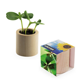 Pflanz-Holz rund mit Samen - Glücksklee-Zwiebel, Lasergravur (* Je nach Verfügbarkeit der Glücksklee-Zwiebeln)