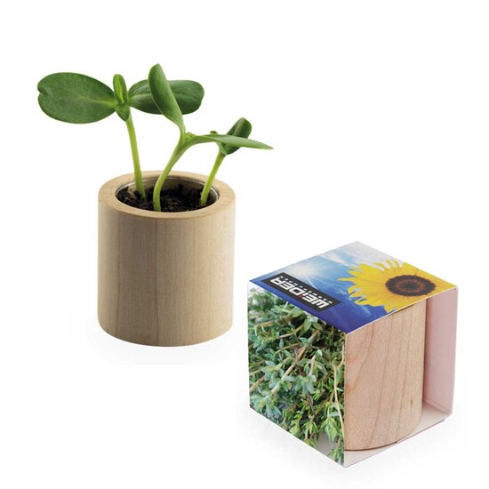 Pflanz-Holz rund mit Samen - Thymian, Lasergravur