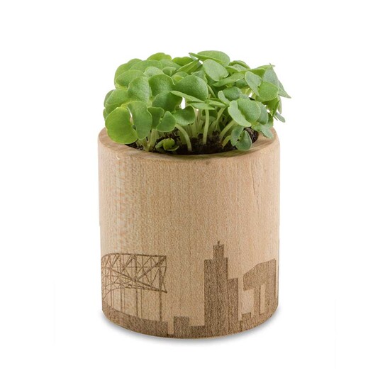 Pflanz-Holz rund mit Samen - Sommerblume, Rundum-Lasergravur