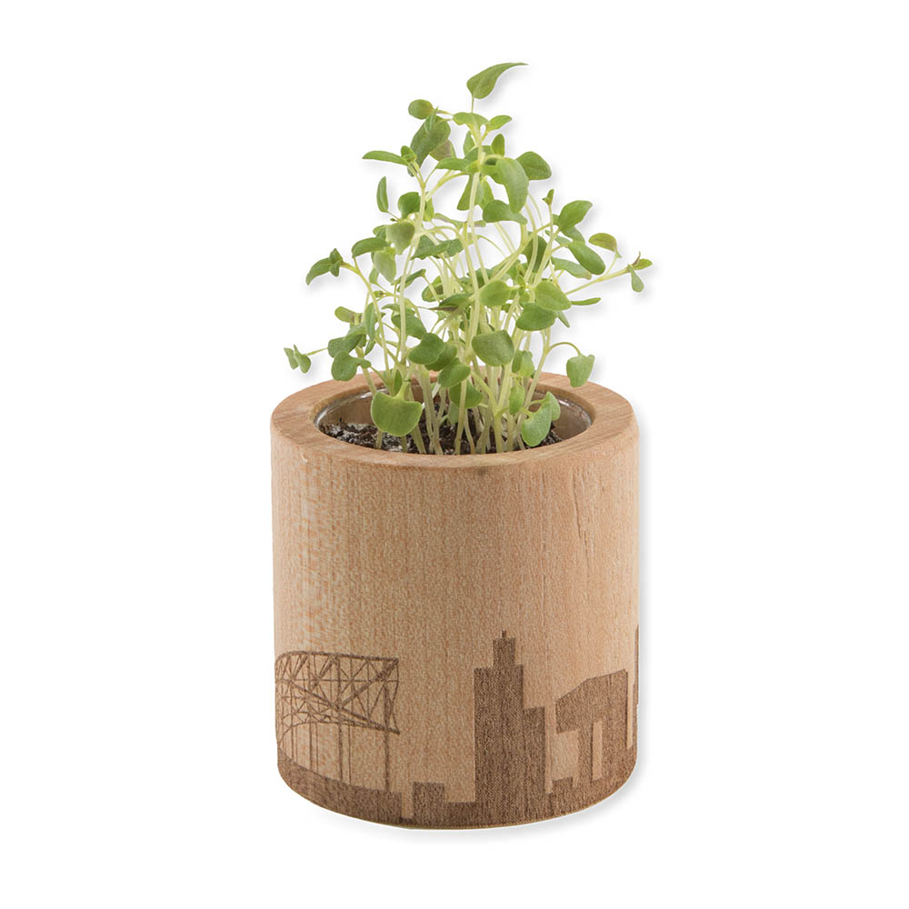 Pflanz-Holz rund mit Samen - Thymian, Rundum-Lasergravur