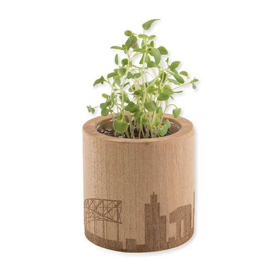Pflanz-Holz rund mit Samen - Thymian, Rundum-Lasergravur