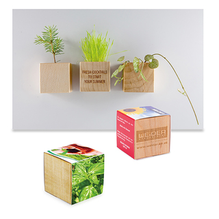 Pflanz-Holz Magnet mit Samen