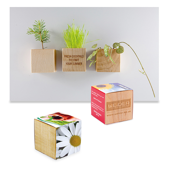 Pflanz-Holz Magnet mit Samen