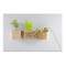 Pflanz-Holz Magnet mit Samen