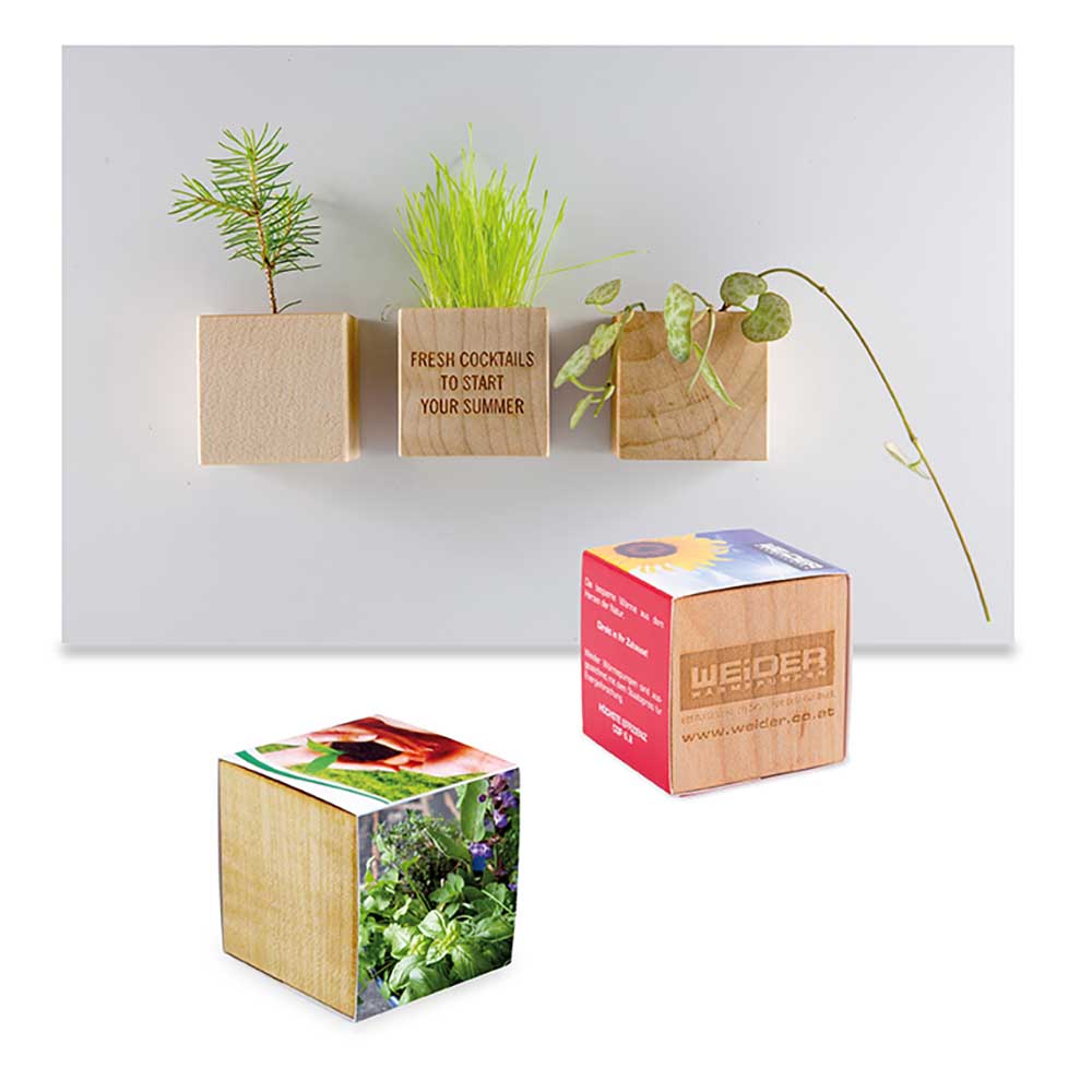 Pflanz-Holz Magnet mit Samen - Kräutermischung