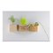 Pflanz-Holz Magnet mit Samen - Schnittlauch