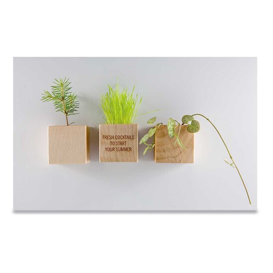 Pflanz-Holz Magnet mit Samen - Gartenkresse, 1 Seite gelasert