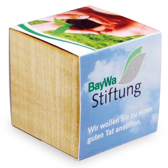 Pflanz-Holz Magnet mit Samen - Ringelblume, 2 Seiten gelasert