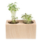 Pflanz-Holz 2er Set mit Samen