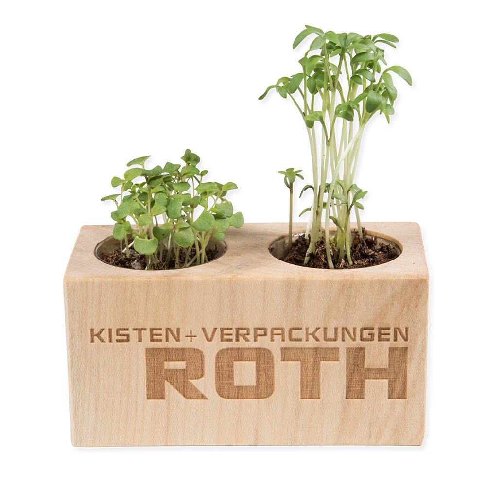 Pflanz-Holz 2er Set mit Samen - Schnittlauch, 1 Seite gelasert