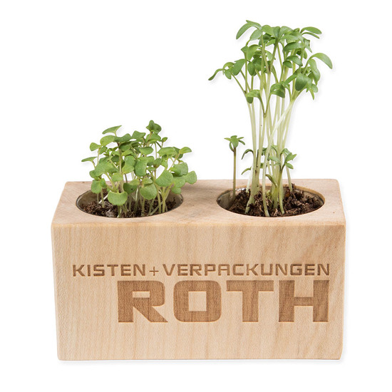 Pflanz-Holz 2er Set mit Samen - Schnittlauch, 1 Seite gelasert