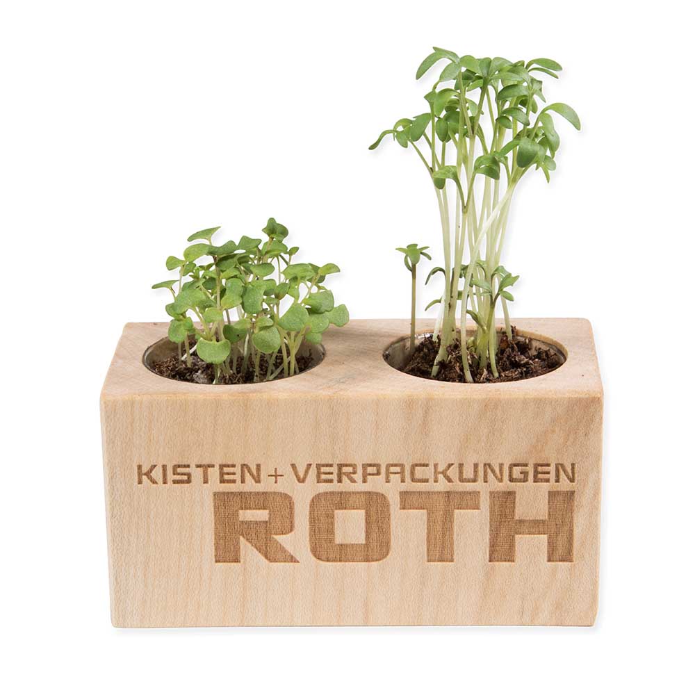 Pflanz-Holz 2er Set mit Samen - Sommerblumenmischung, 2 Seiten gelasert