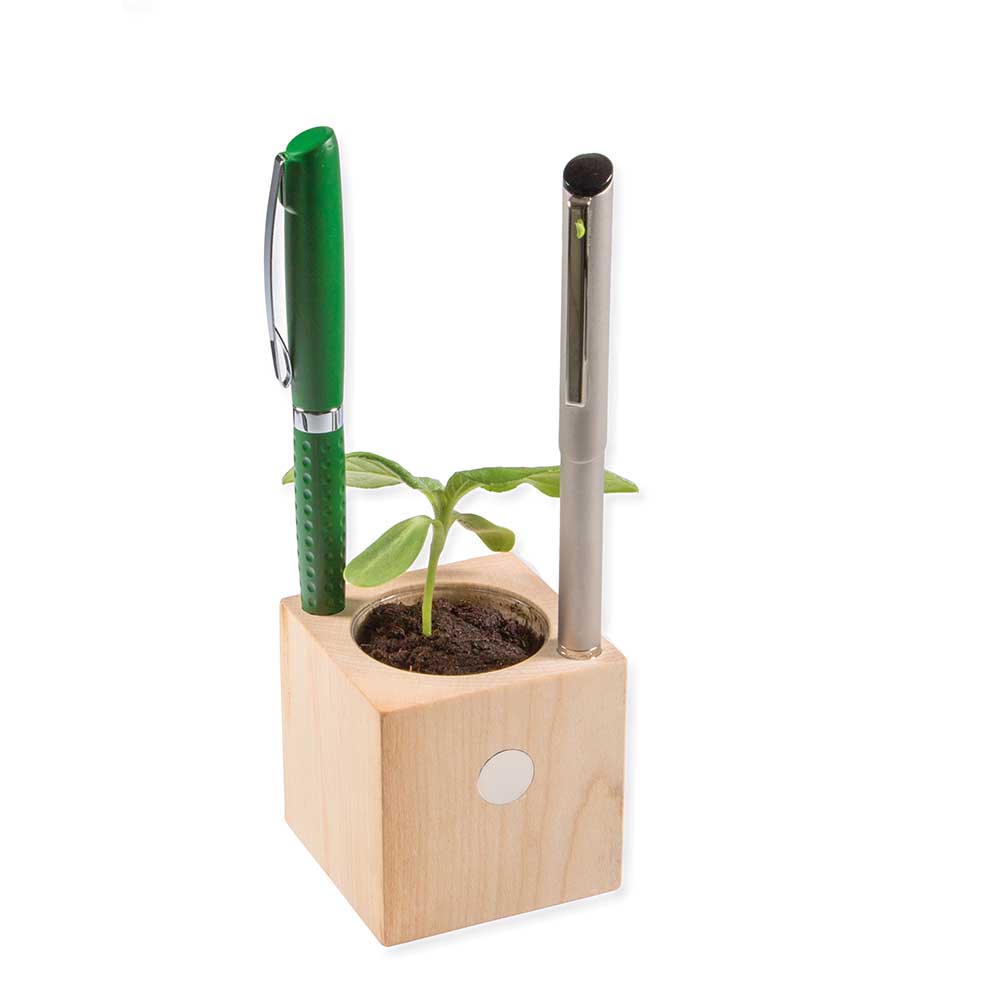 Pflanz-Holz Büro mit Samen - Thymian