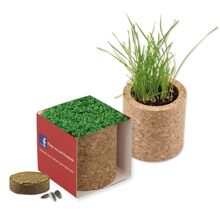 Pflanz-Kork rund mit Samen - Gartenkresse