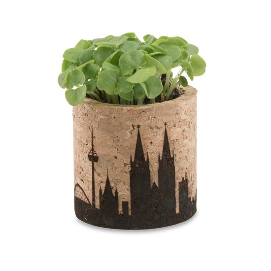 Pflanz-Kork rund mit Samen - Ringelblume, Rundum-Lasergravur