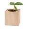 Pflanz-Holz - Standardmotiv - Sonnenblume - 1 Seite gelasert